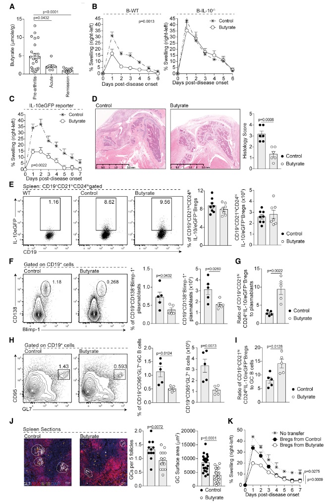 metabolikus súlycsökkenés, amelybe beleesik