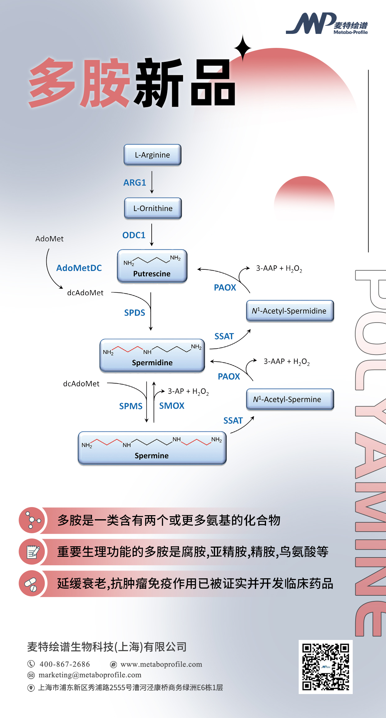 CNS争相报道能延寿50%还能治疗肿瘤的新明星：多胺的前世今生最全梳理！_肿瘤细胞_氨基酸代谢_非靶向代谢_脂质_多组学代谢流检测分析_脂肪酸定量_肠道微生物菌群检测-麦特绘谱