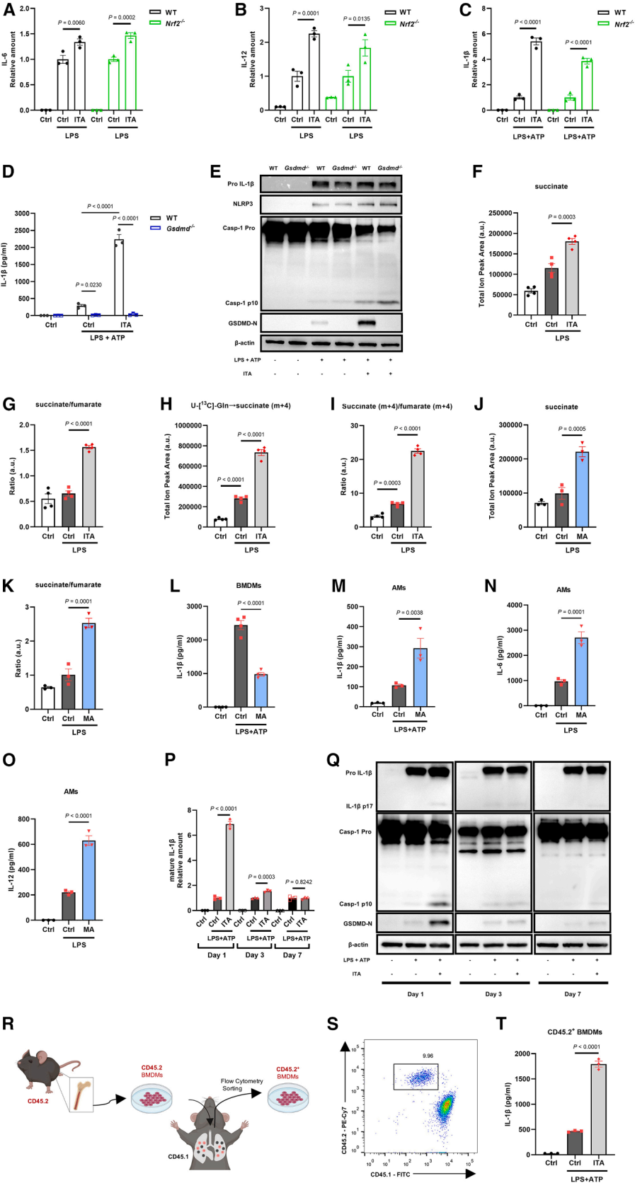 Cell Metabolism Cell Metabolism