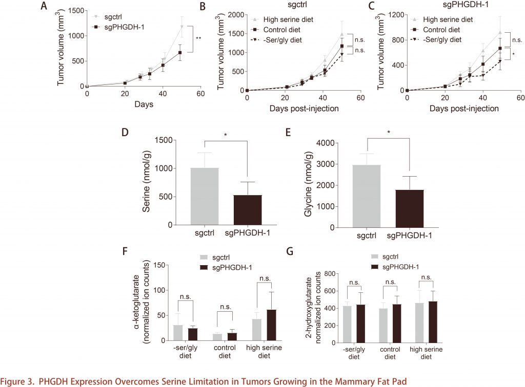 Cell Metabolism Cell Metabolism