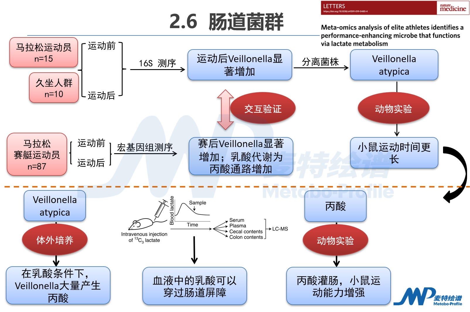 公开课回顾 | 代谢组学临床转化突破之路--从临床研究到临床转化_肿瘤细胞_氨基酸代谢_非靶向代谢_脂质_多组学代谢流检测分析_脂肪酸定量 ...
