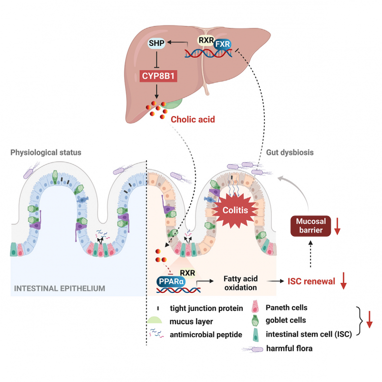 绘谱导读 | 2022年9月代谢组学文献精选_肿瘤细胞_氨基酸代谢_非靶向代谢_脂质_多组学代谢流检测分析_脂肪酸定量_肠道微生物菌群检测-麦特绘谱