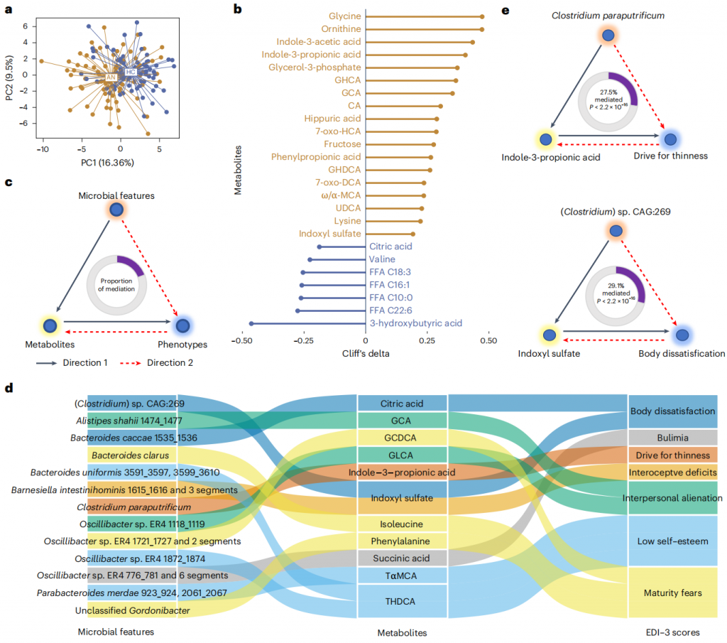 Nature Microbiology | 肠道菌群揭开神经性厌食症的神秘面纱_肿瘤细胞_氨基酸代谢_非靶向代谢_脂质_多组学代谢流检测分析 ...