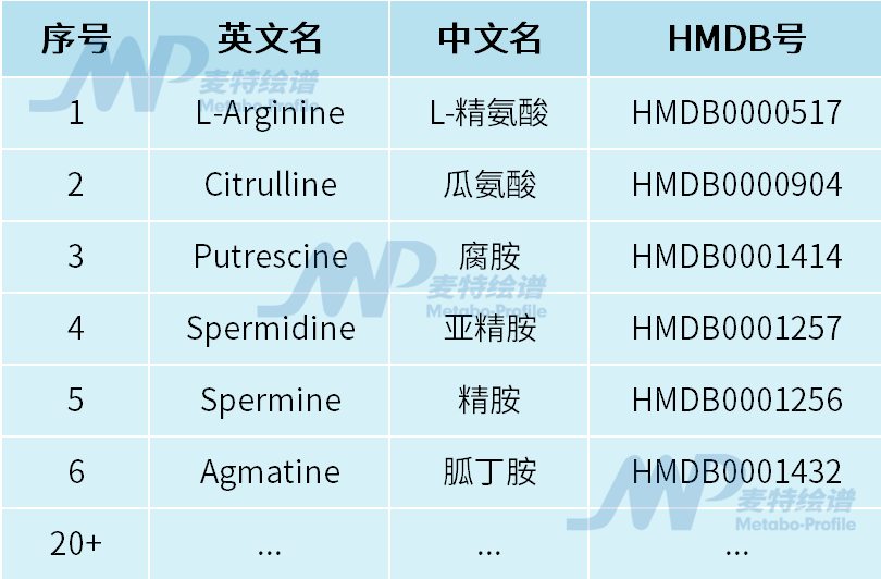 多胺_肿瘤细胞_氨基酸代谢_非靶向代谢_脂质_多组学代谢流检测分析_脂肪酸定量_肠道微生物菌群检测-麦特绘谱