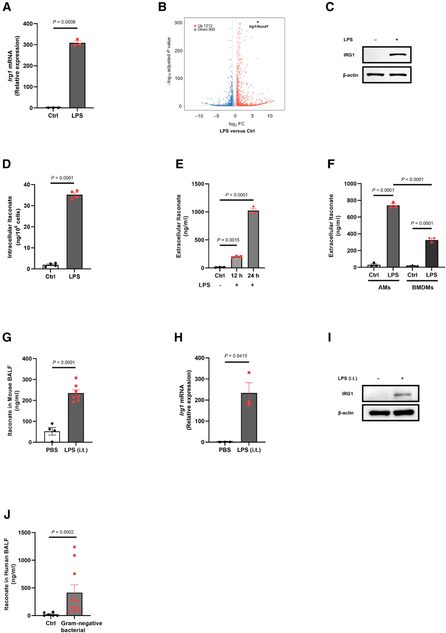 Cell Metabolism Cell Metabolism